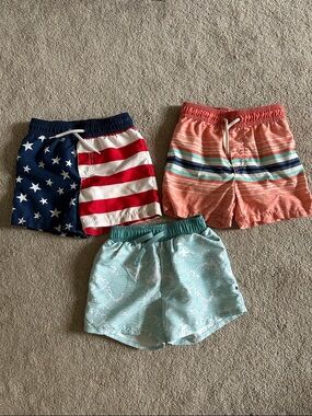 Toddler Boy 3T Swim Trunks Set